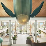 Iberostar Waves Gaviotas Park فندق