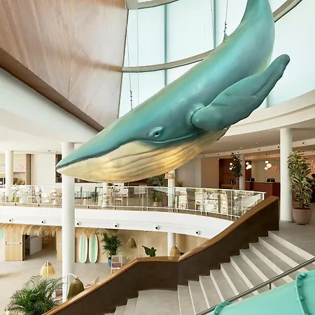 Отель Iberostar Waves Gaviotas Park 4*